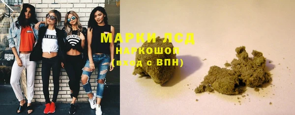 дживик Бородино