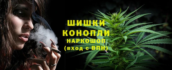 крисы Верея