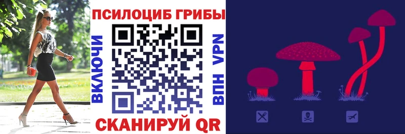 Галлюциногенные грибы прущие грибы  купить наркотик  Гаврилов-Ям 